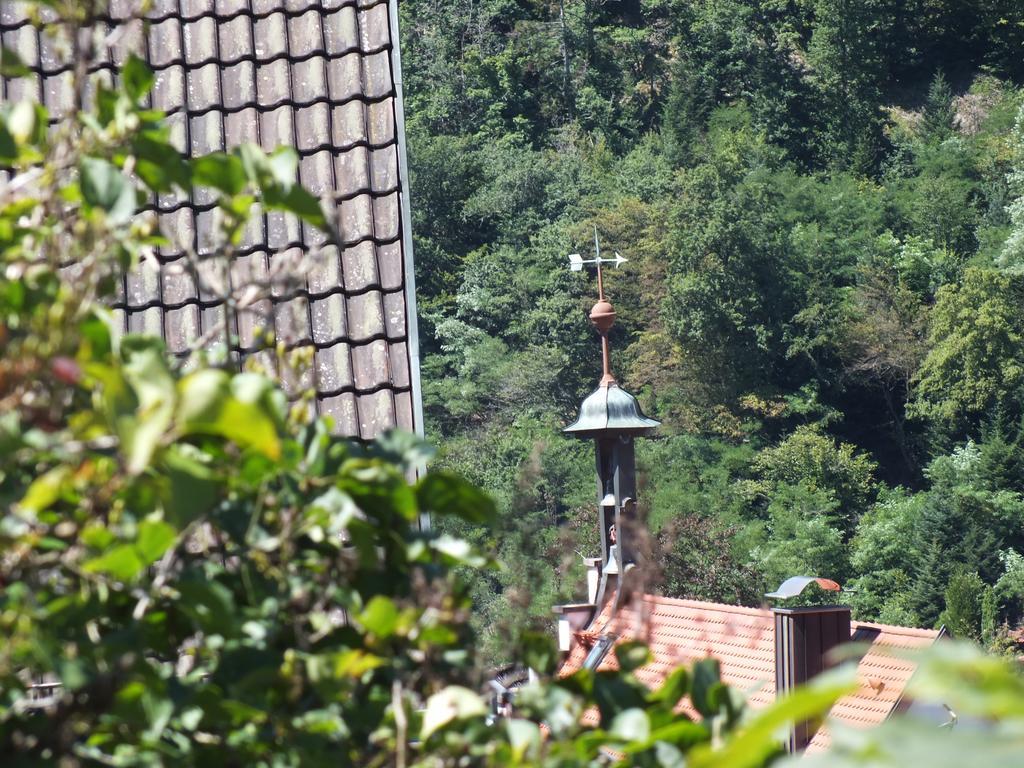 Hotel-Gasthof Zum Weyssen Roessle Schiltach Ngoại thất bức ảnh